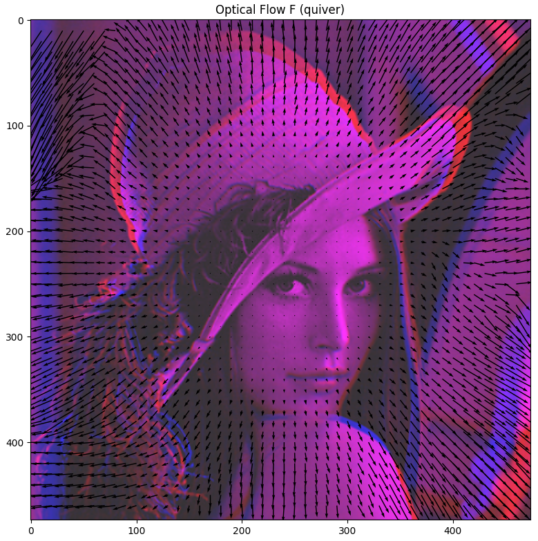 ../_images/display_optical_flow_quiver.png