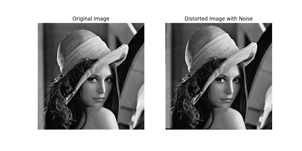Original Image, Distorted Image with Noise