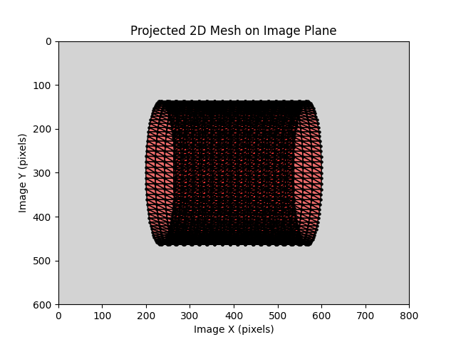 Projected 2D Mesh on Image Plane